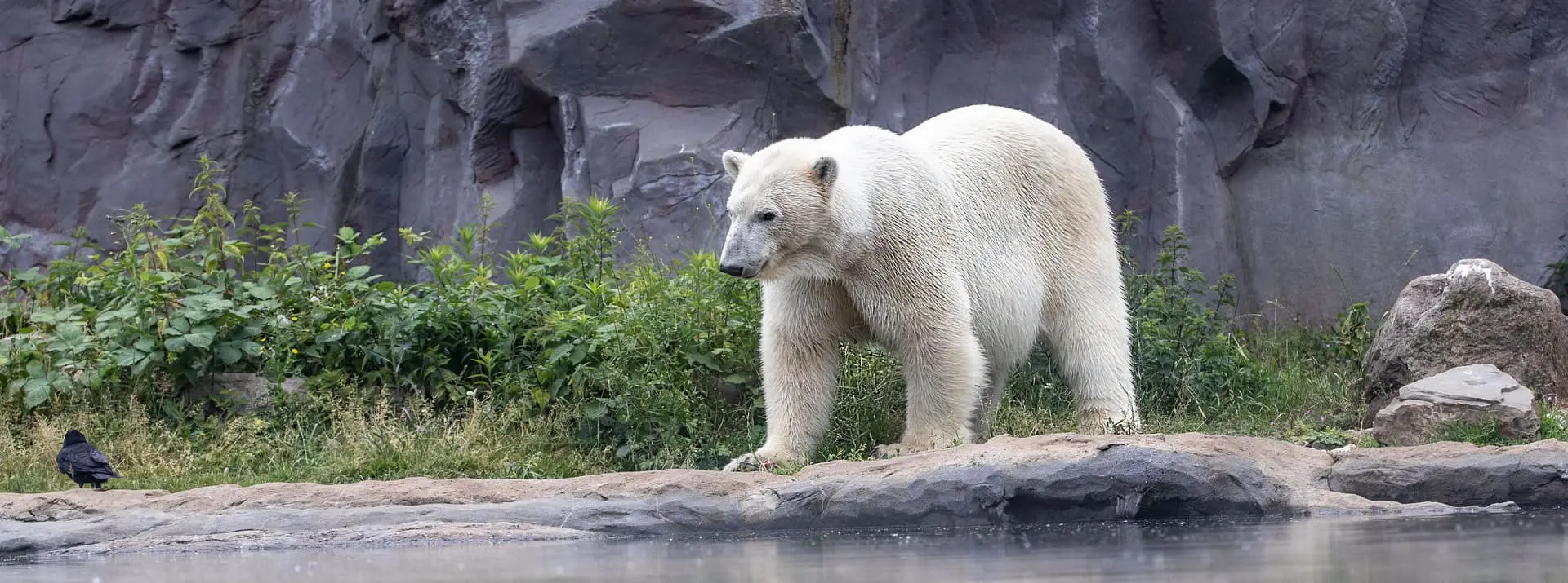 ホームページ制作を